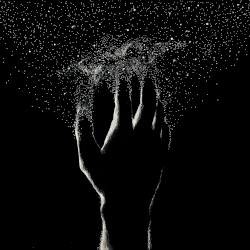 In the Stars 封面