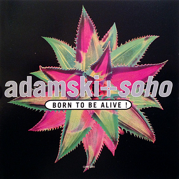 Born to Be Alive 封面